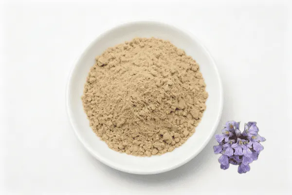 Ajuga Turkesterone Powder