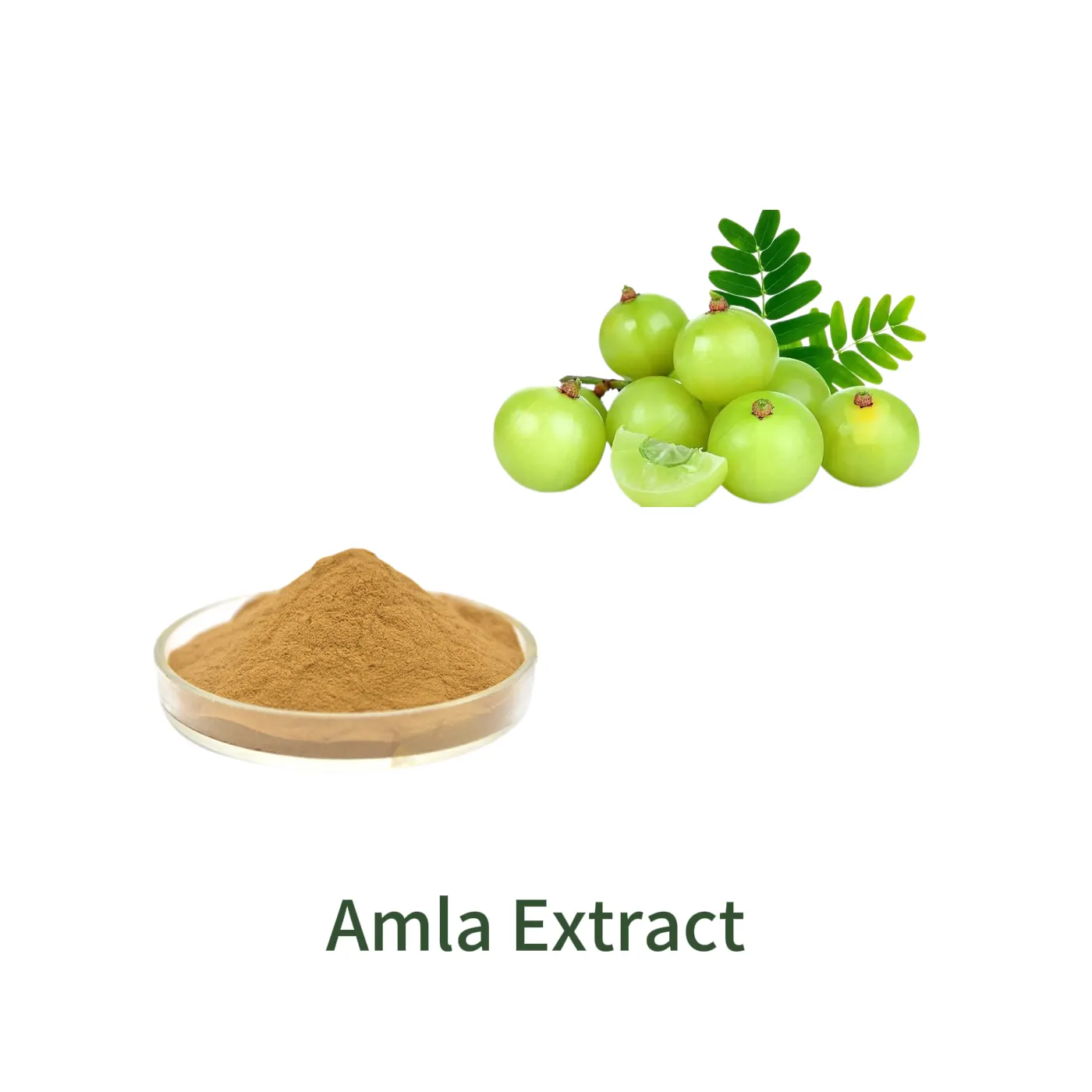 Amla Extract