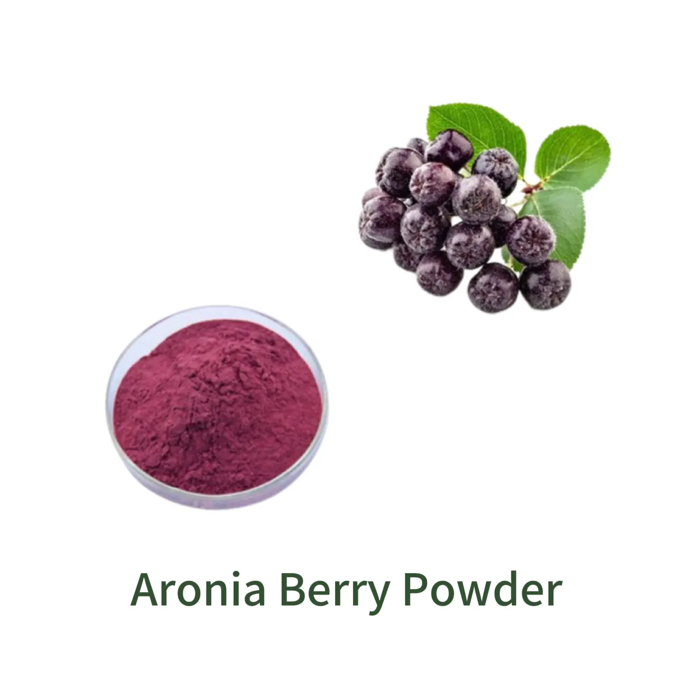 Aronia Berry Powder