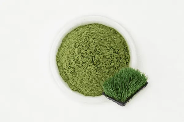 Barley Grass Powder