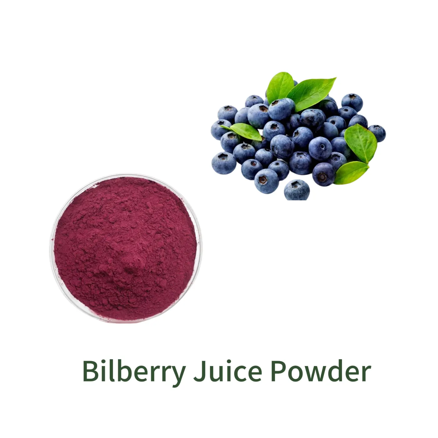 Bilberry Juice Powder