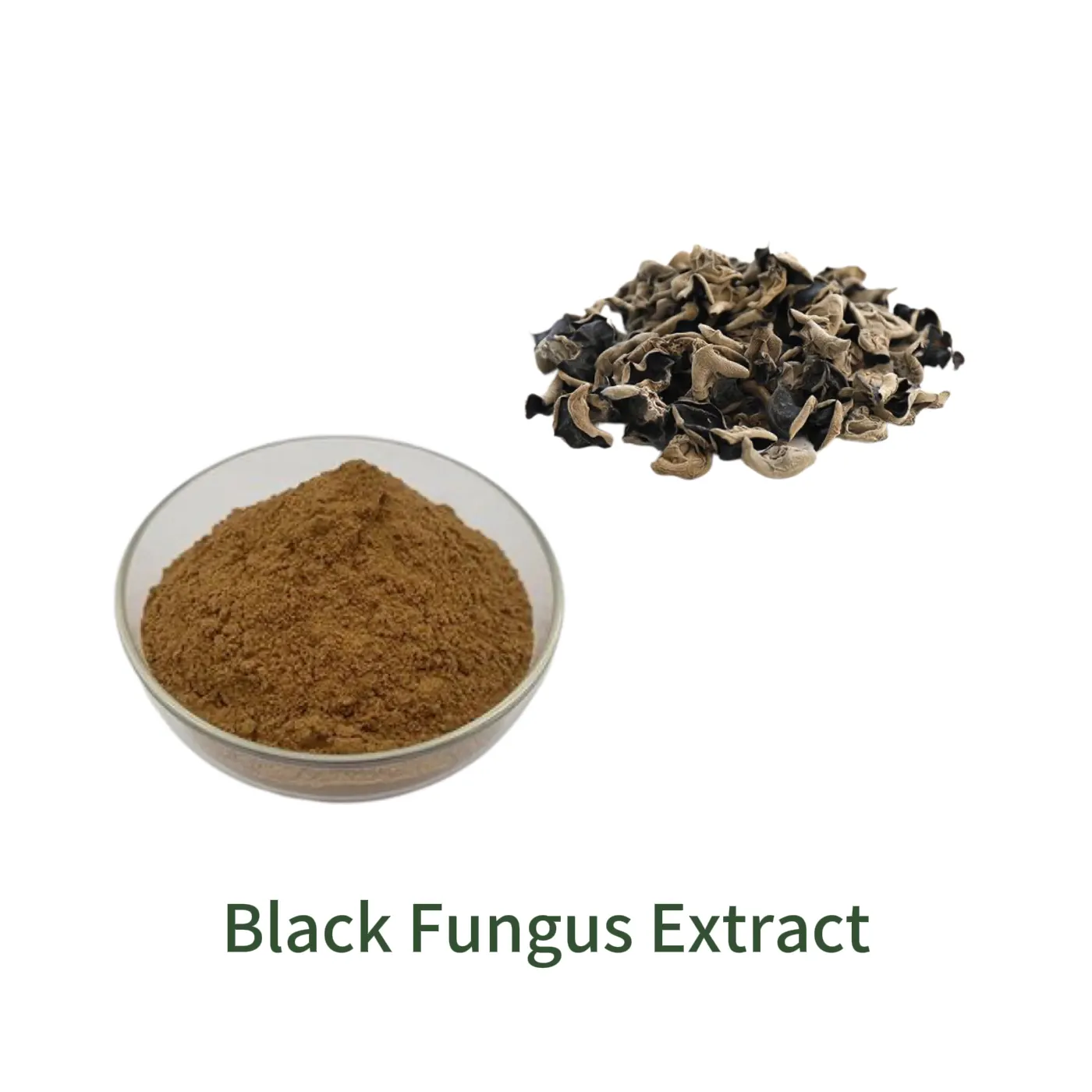 Black Fungus Extract