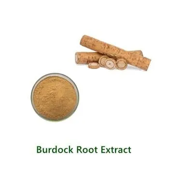 Bulk-Pulverprobe von Burdock Root Extract