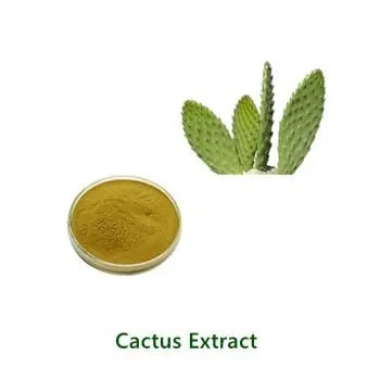 Bulk-Pulverprobe von Cactus (Nopal) Extract