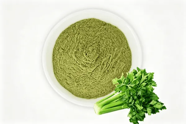 Fresh green celery stalks (Apium graveolens) beside celery powder.
