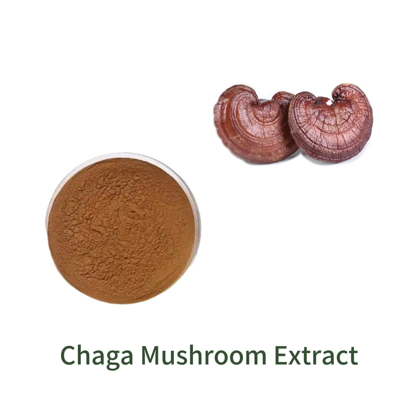 Chaga Mushroom Extract