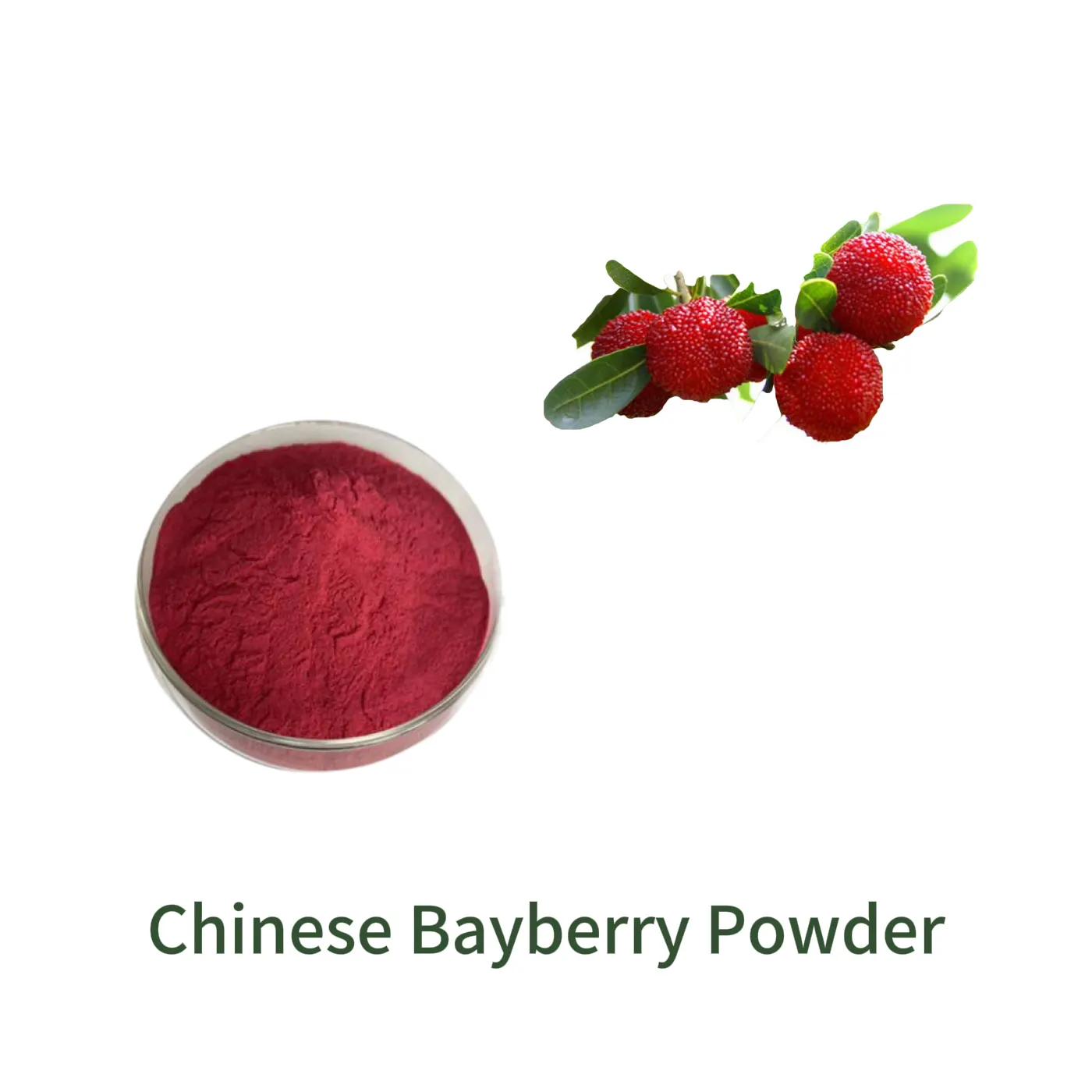 Chinese Bayberry Powder