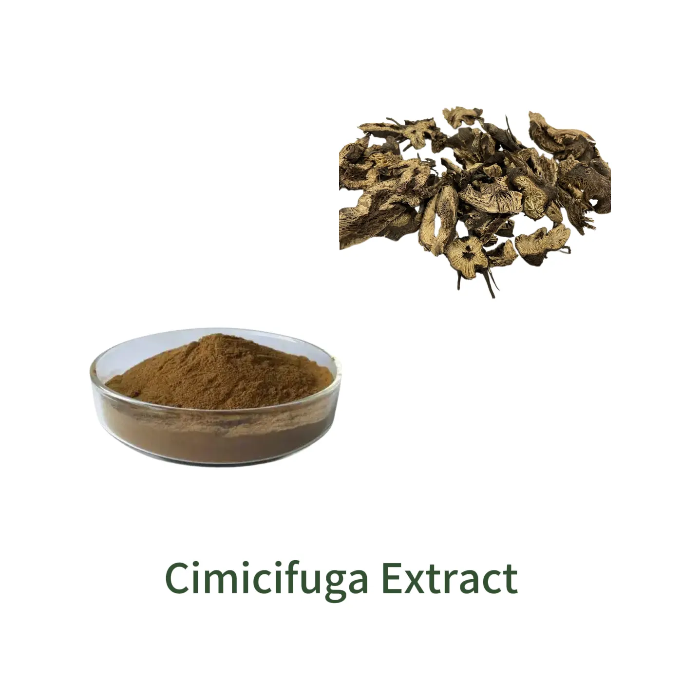 Cimicifuga Extract