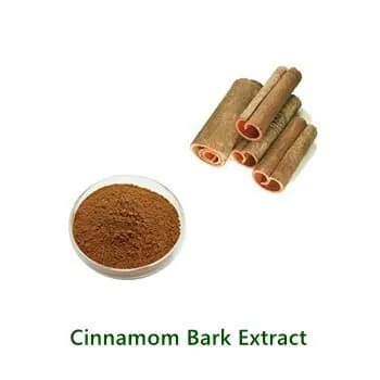 Bulk-Pulverprobe von Cinnamon Extract