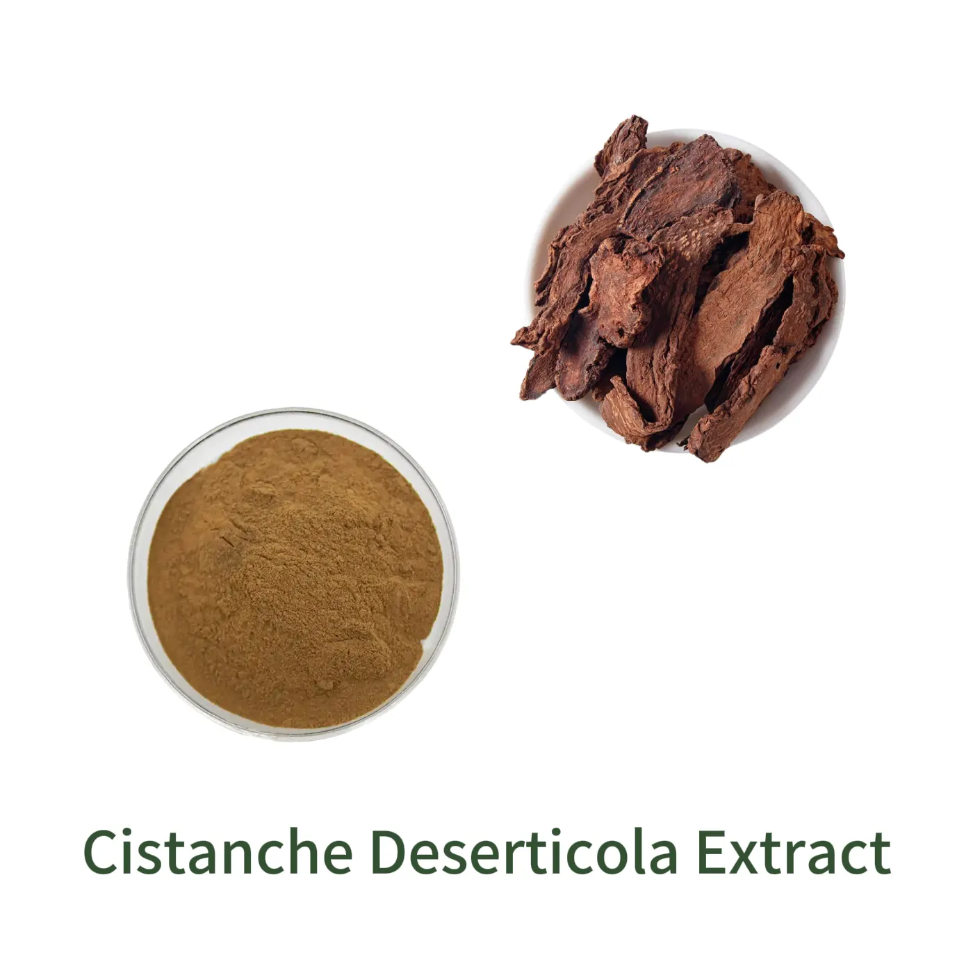 Cistanche Deserticola Extract