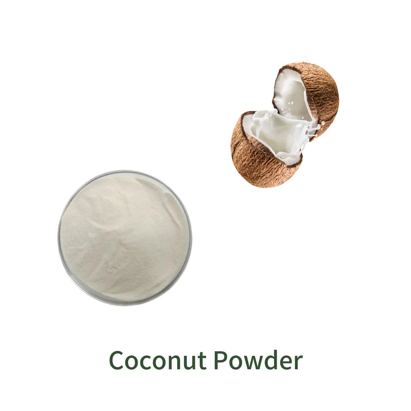 Bulk-Pulverprobe von Coconut Powder