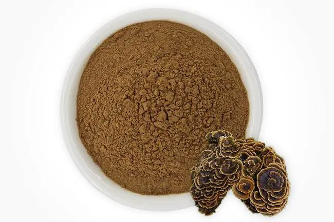 Coriolus Extract Powder