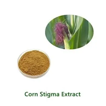 Bulk-Pulverprobe von Corn Silk Extract
