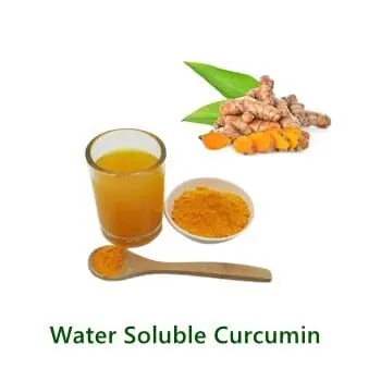 Bulk-Pulverprobe von Curcumin Extract