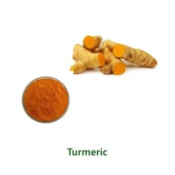 عيّنة مسحوق Curcumin 95% بالجملة