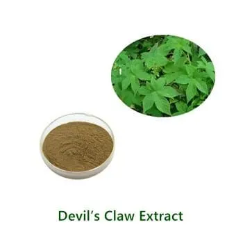 عيّنة مسحوق Devil's Claw Extract بالجملة