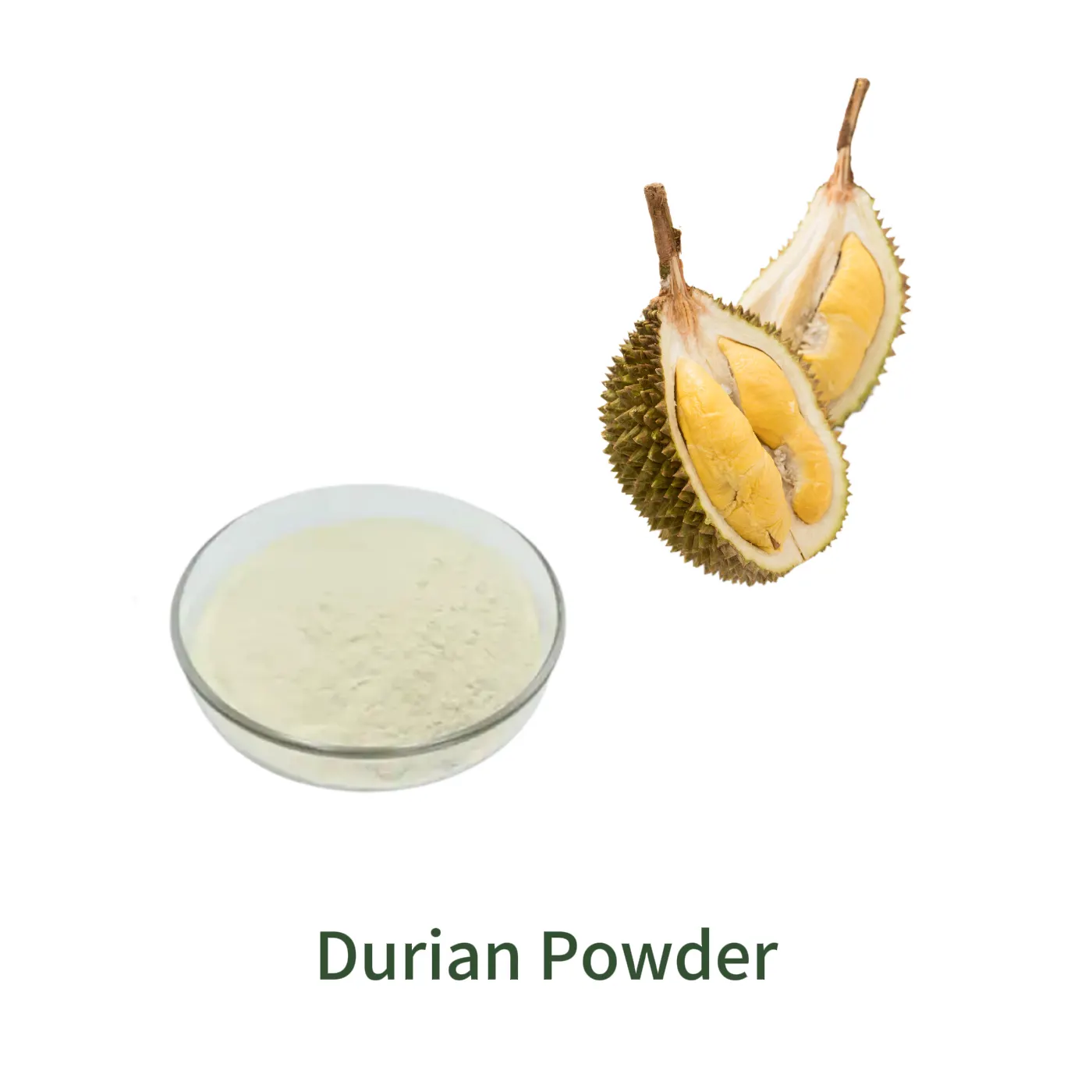 Durian Powder