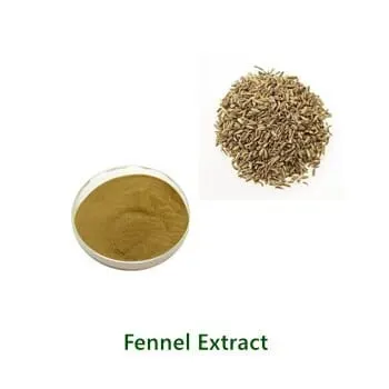 Bulk-Pulverprobe von Fennel Extract
