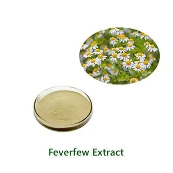 Bulk-Pulverprobe von Feverfew Extract