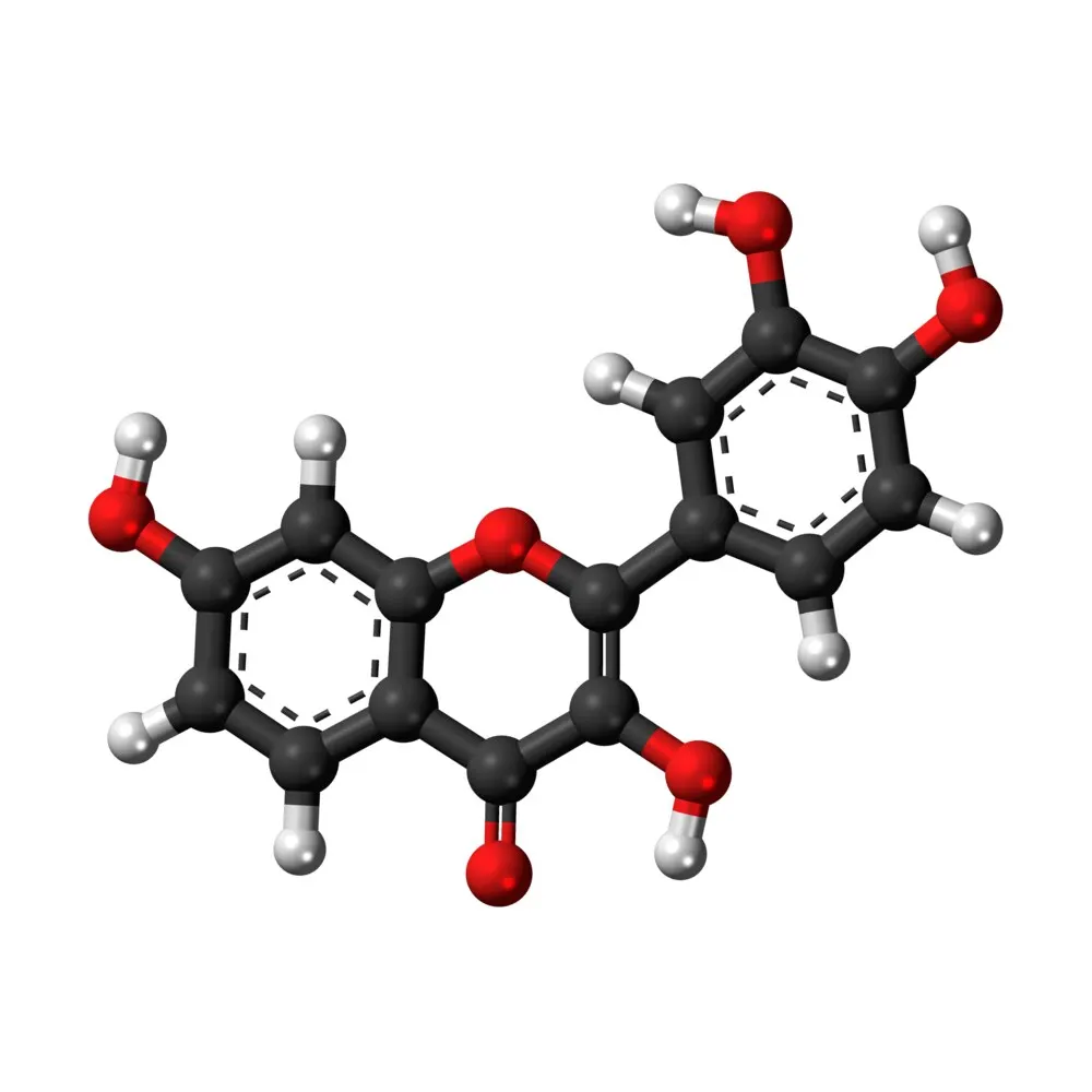 Fully Water-Soluble Fisetin