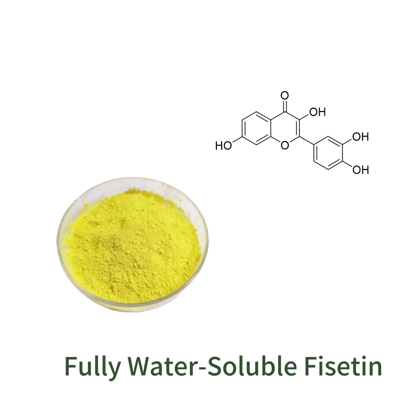 Fully Water-Soluble Fisetin