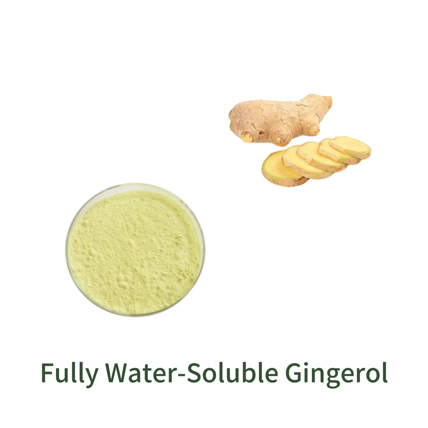Fully Water-Soluble Gingerol