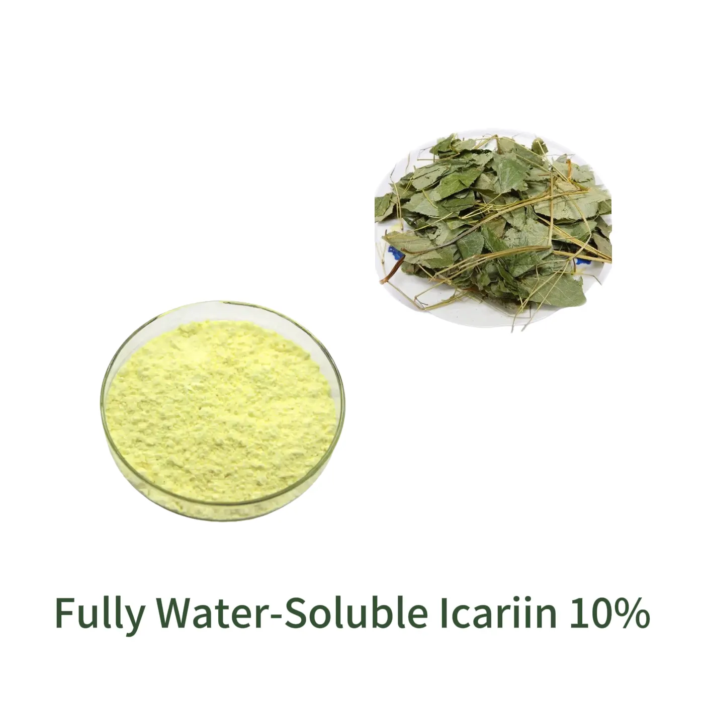 Fully Water-Soluble Icariin 10%