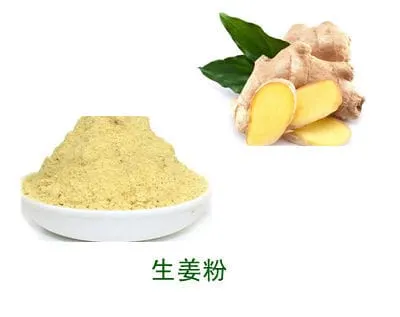 Bulk-Pulverprobe von Ginger Tincture