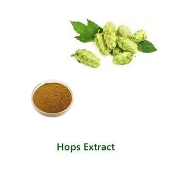 عيّنة مسحوق Hops Extract بالجملة