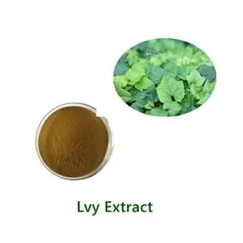 Ivy Leaf Extract