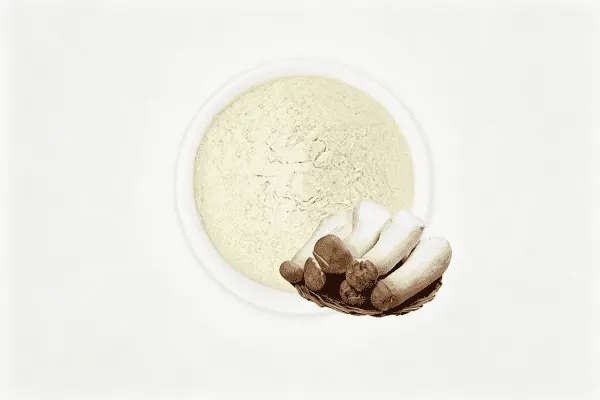 King Oyster Mushroom Powder