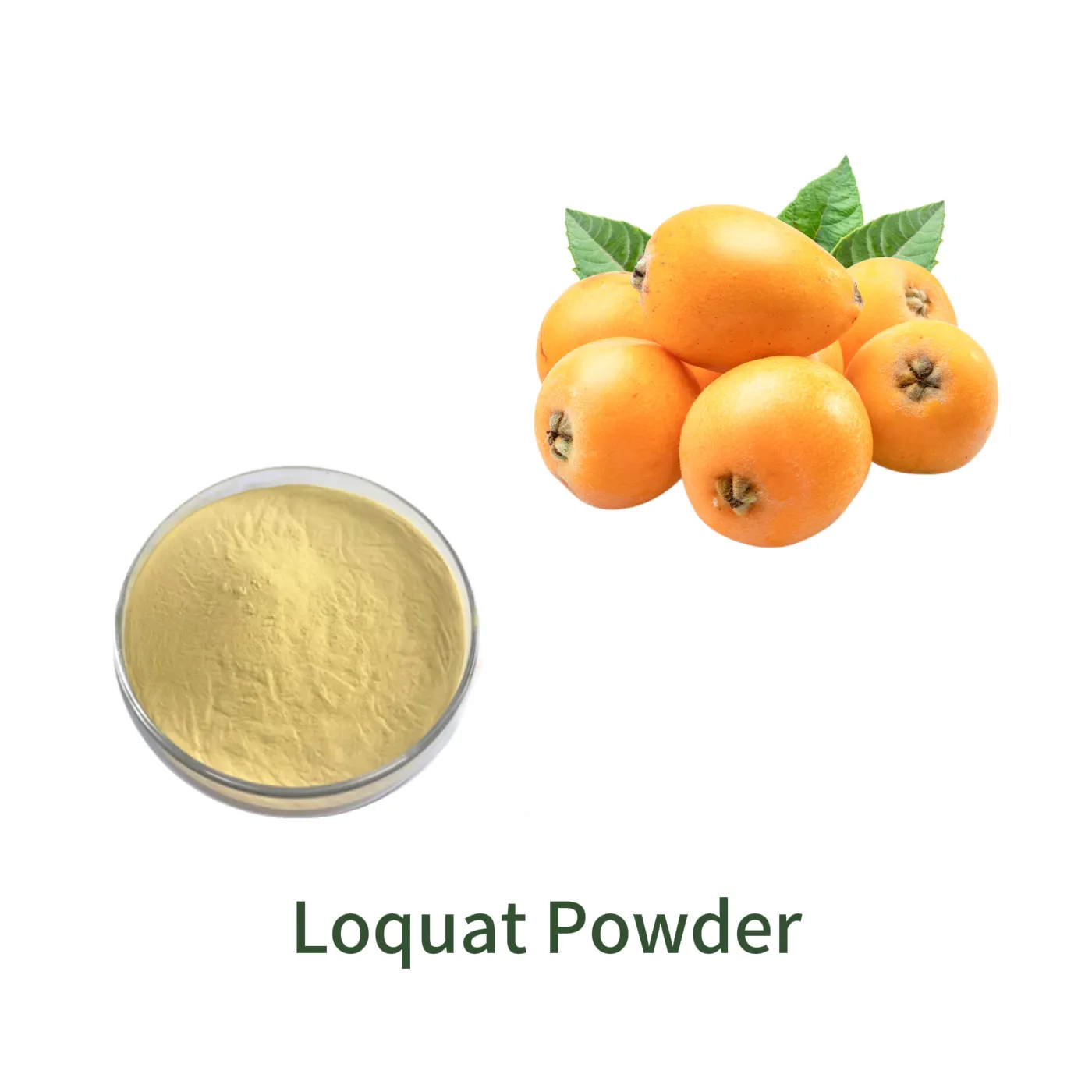 Loquat Powder