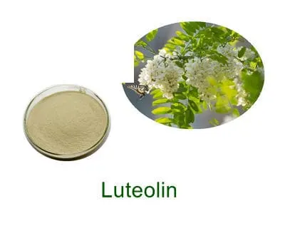 Luteolin yellow crystalline powder, GreeneryBio reference sample