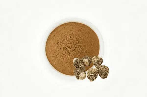 Cream and purple maca roots (Lepidium meyenii).
