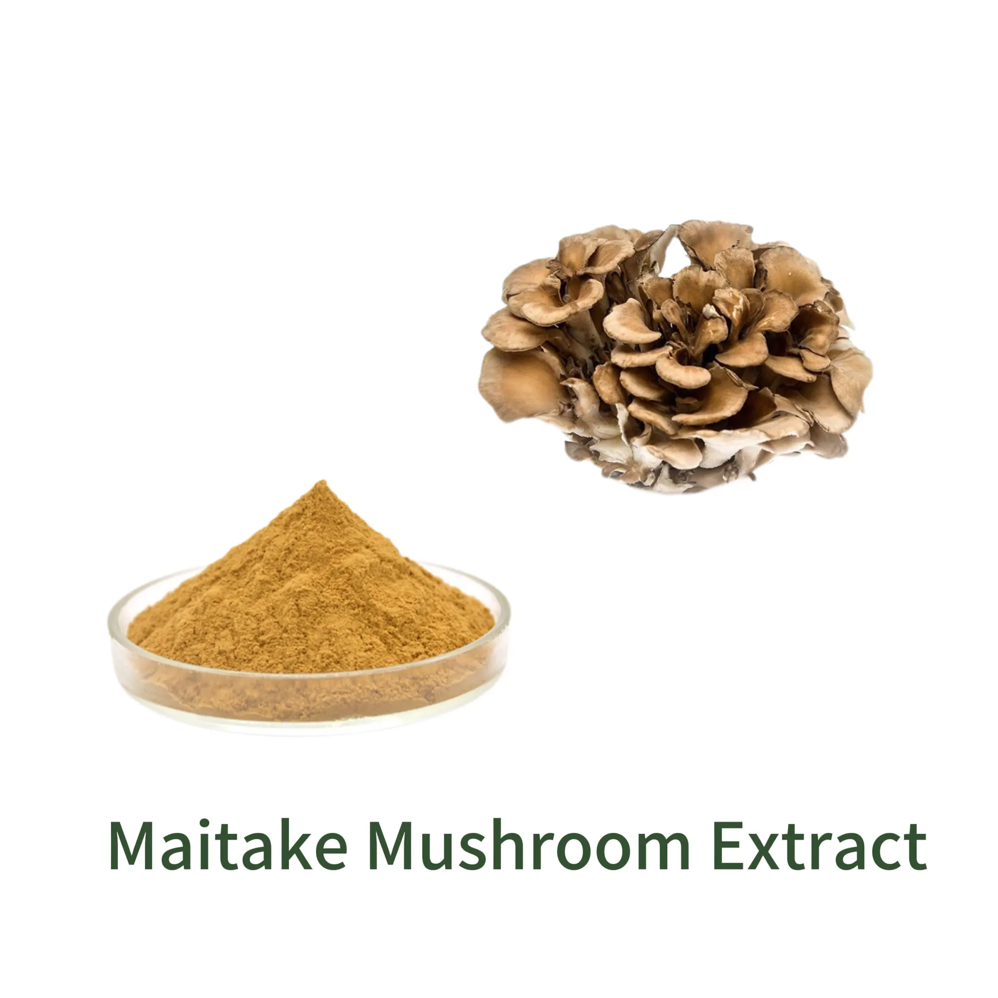 Maitake Mushroom Extract