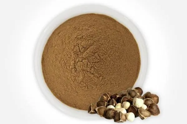 Moringa Seed Extract Powder