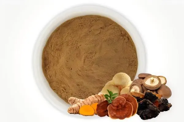 Mushroom Extract Blend