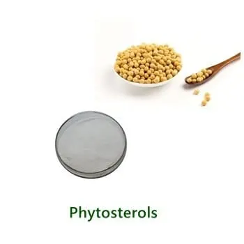 عيّنة مسحوق Phytosterols بالجملة
