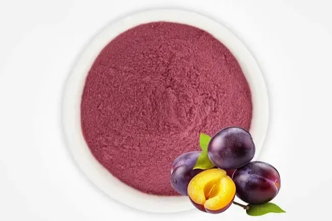 Prune Juice Powder