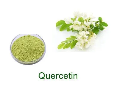 Bulk-Pulverprobe von Quercetin