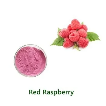 عيّنة مسحوق Raspberry Powder بالجملة