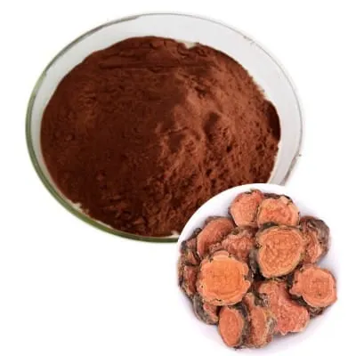 Reishi Powder
