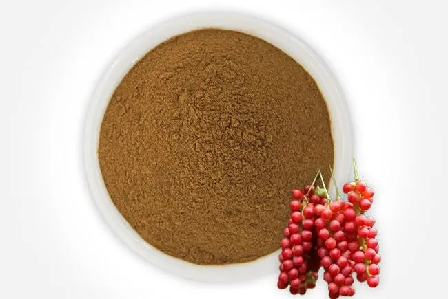 Clusters of bright red Schisandra chinensis (five-flavor berry) fruit.