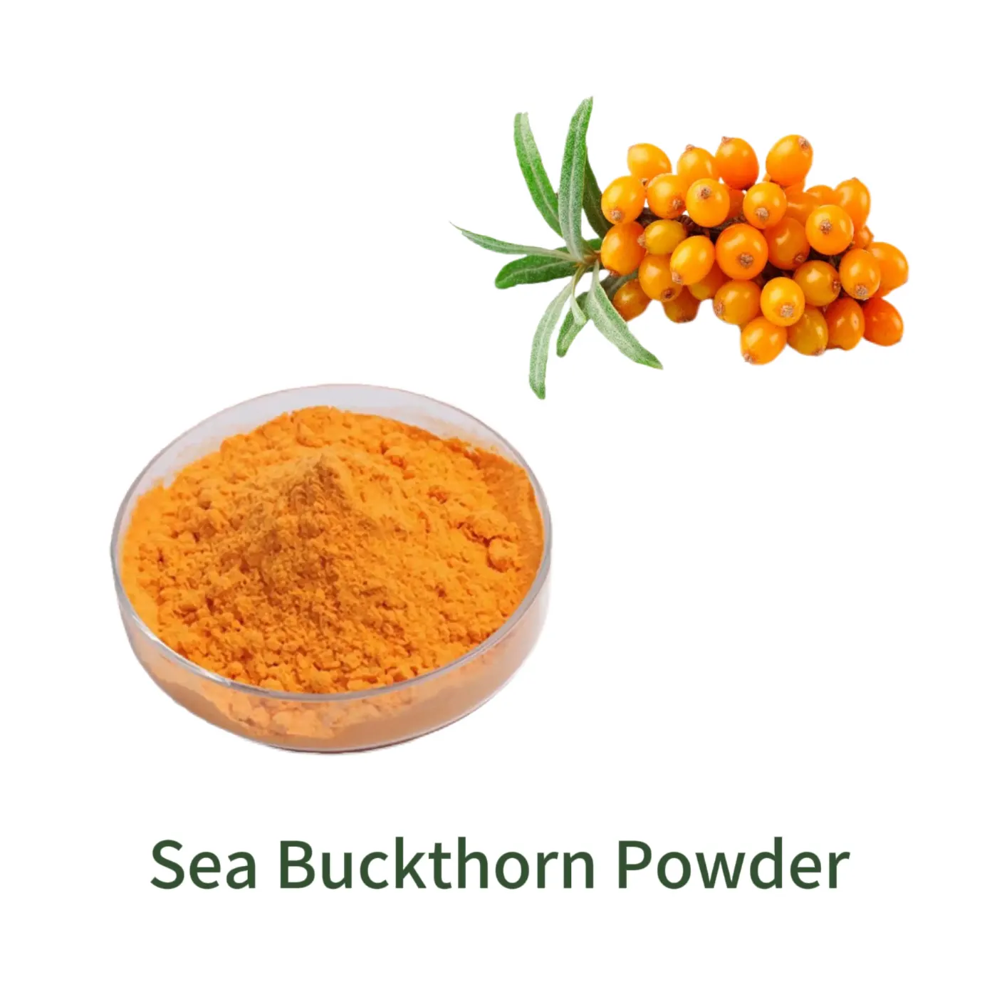 Sea Buckthorn Powder