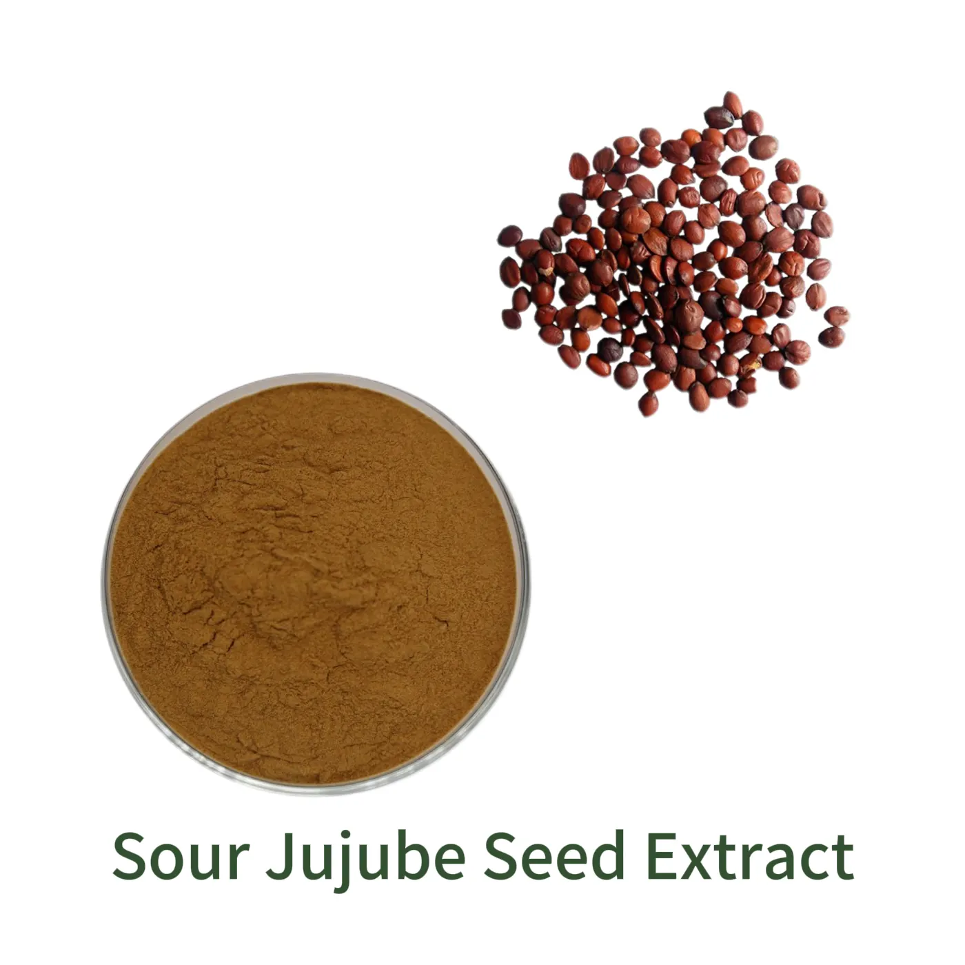 Sour Jujube Seed Extract