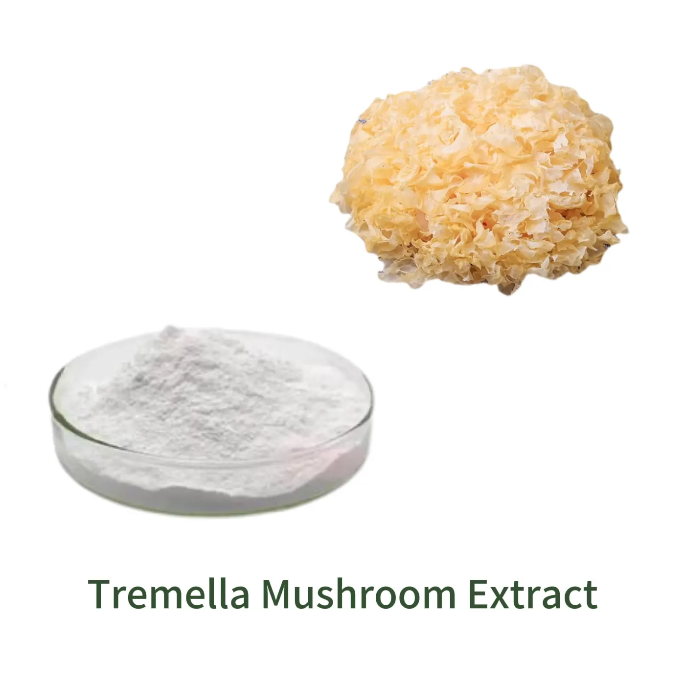 Tremella Mushroom Extract