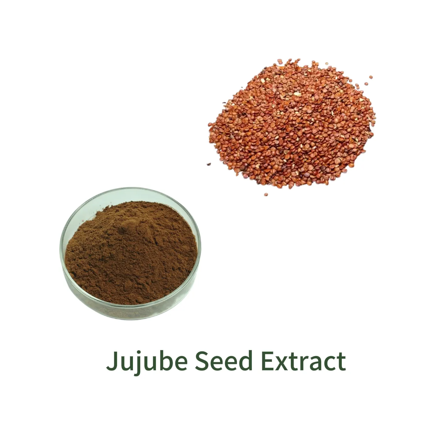 Jujube Seed Extract