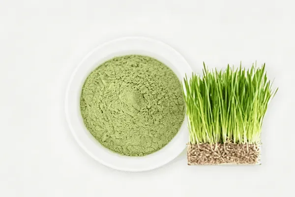 Wheatgrass Powder